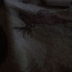 It’s a RV frame with tires it’s 8ft by 30ft good tires so it’s able to be pulled